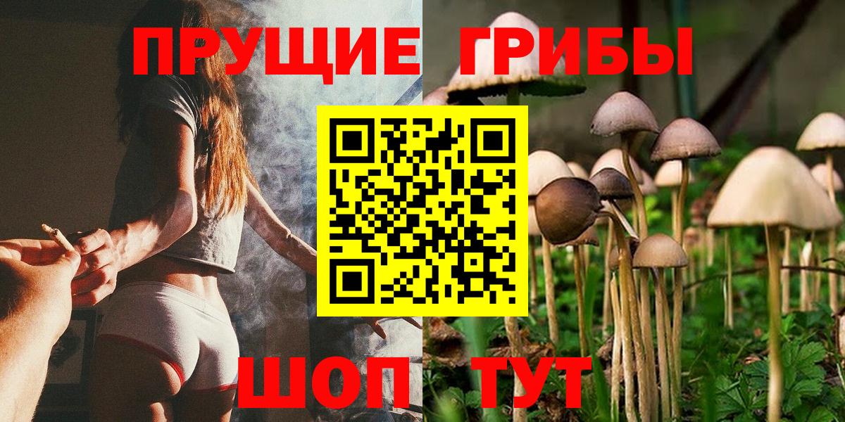 Губкинский  Галлюциногенные грибы мухоморы  Вход с VPN  Псилоцибиновые грибы ЛСД 