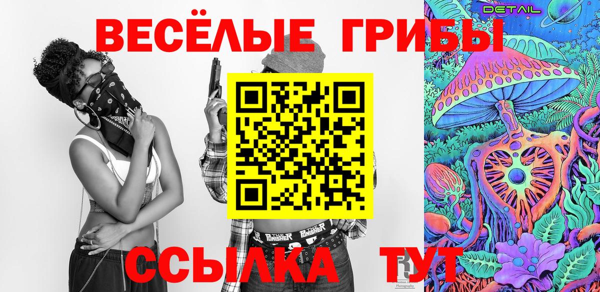 Галлюциногенные грибы мухоморы Губкинский